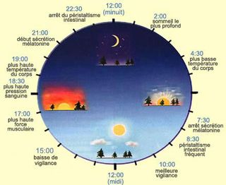 Cycle_de_nuit