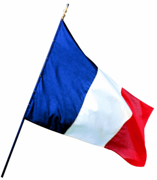 Drapeau-france11751033241