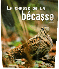 La_chasse_de_la_bcasse_r300
